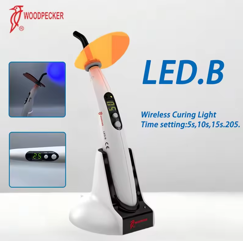 Dental Curing Light Woodpecker - Resin Curing Station review and price