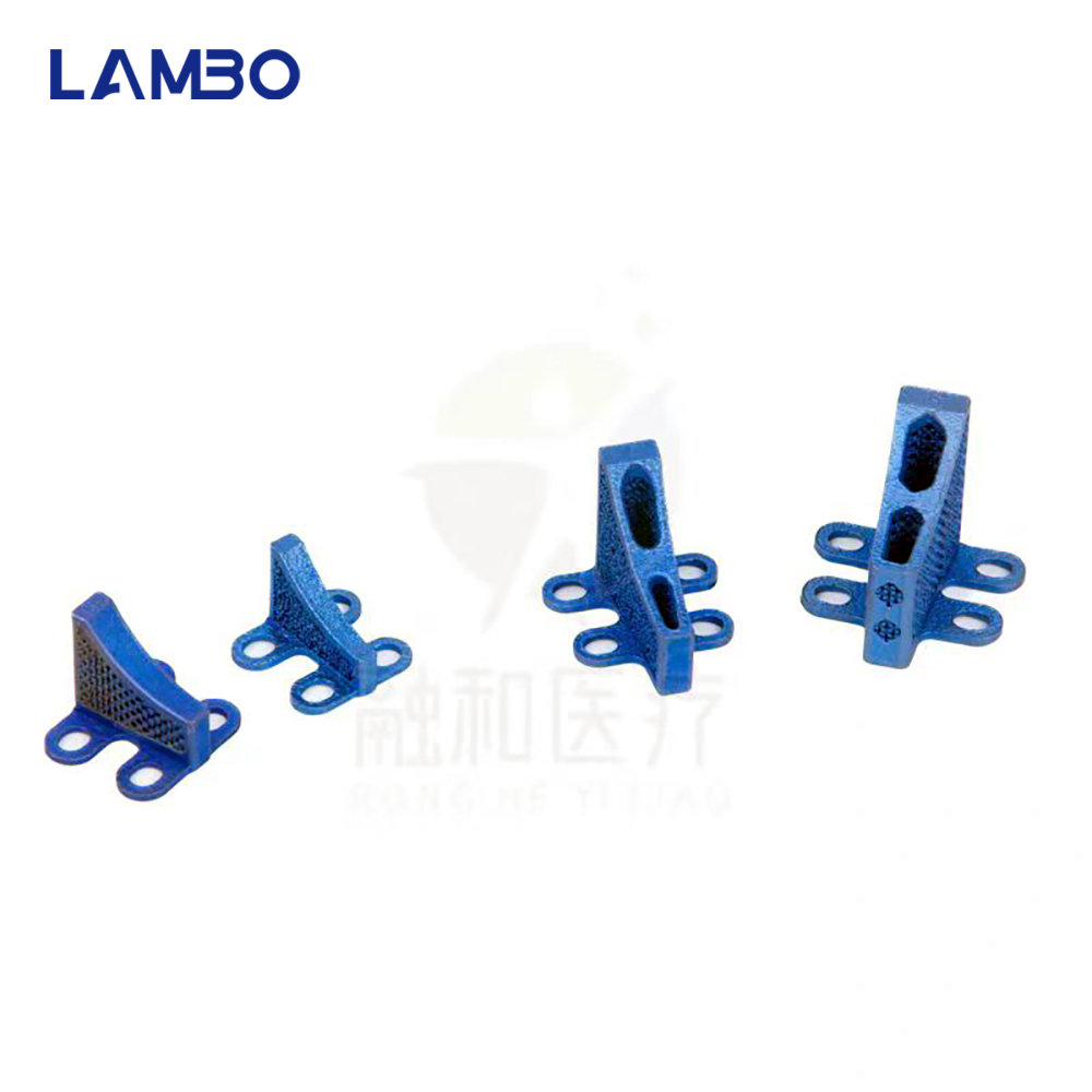3D Printing TTA System Cage Bo - 3D Printing Orthopedics review and price