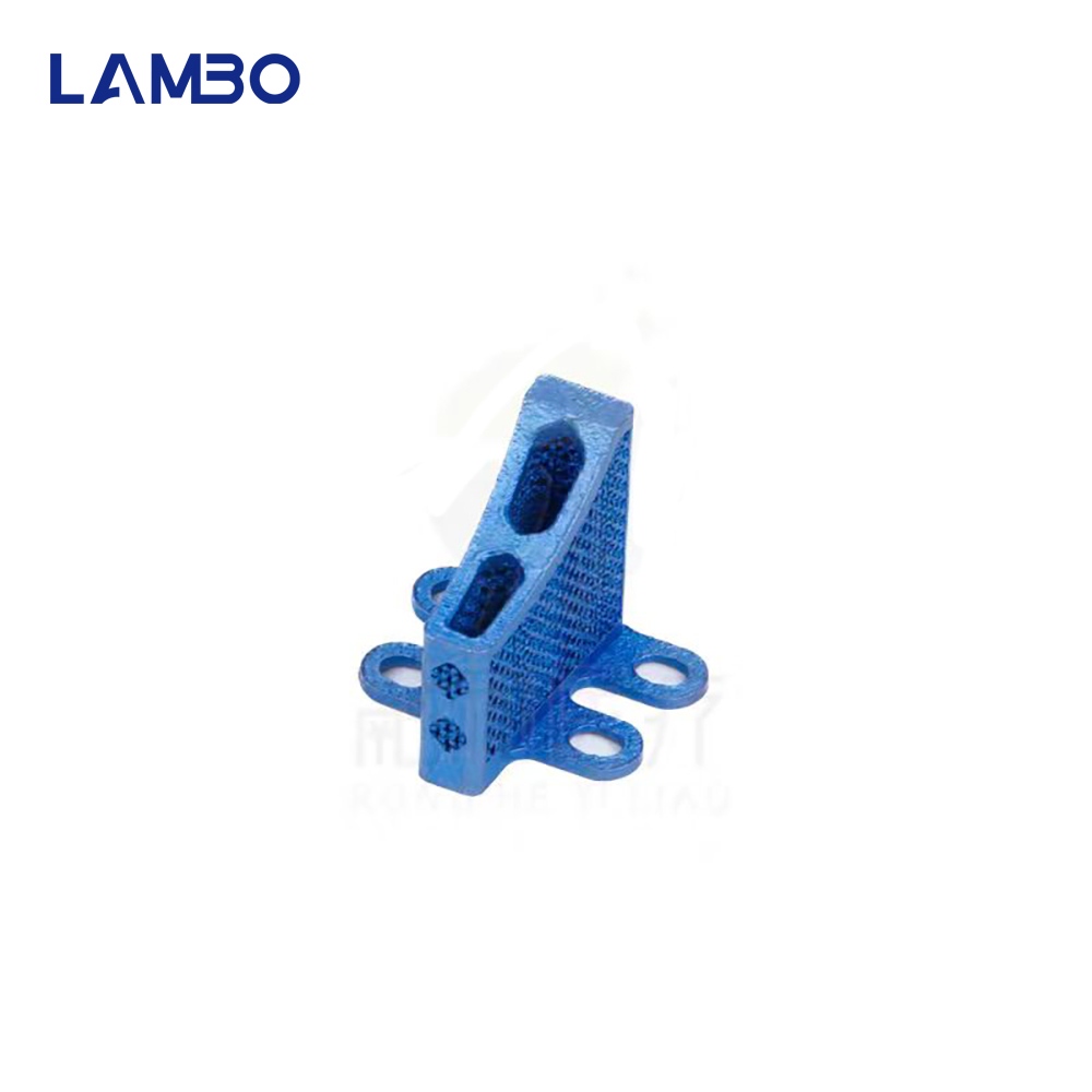 3D Printing TTA System Cage Bo - 3D Printing Orthopedics review and price