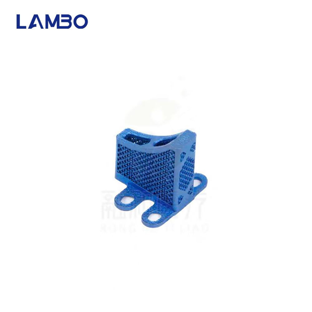 3D Printing TTA System Cage Bo - 3D Printing Orthopedics review and price